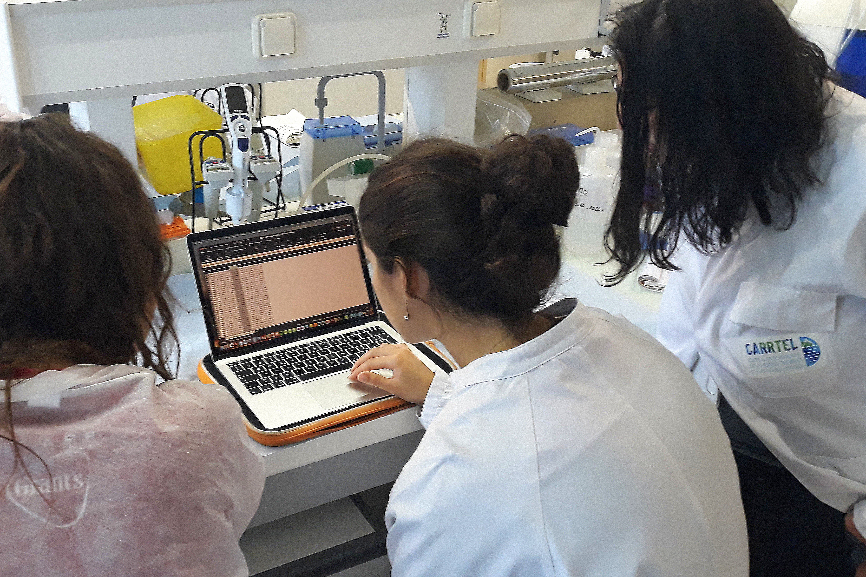 Manipulation en laboratoire-Crédits photos: S. JACQUET