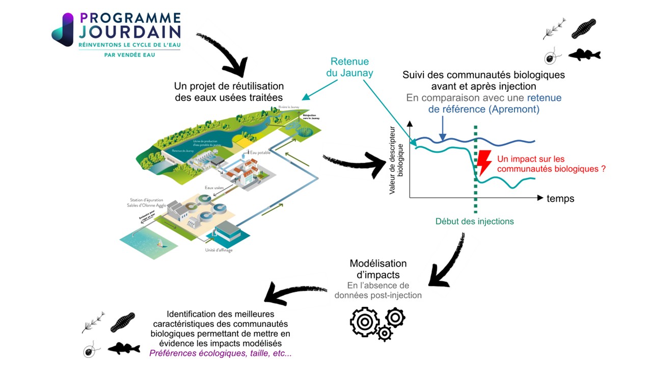 IPANEMA_infographie_résultats-15_54_58.jpg
