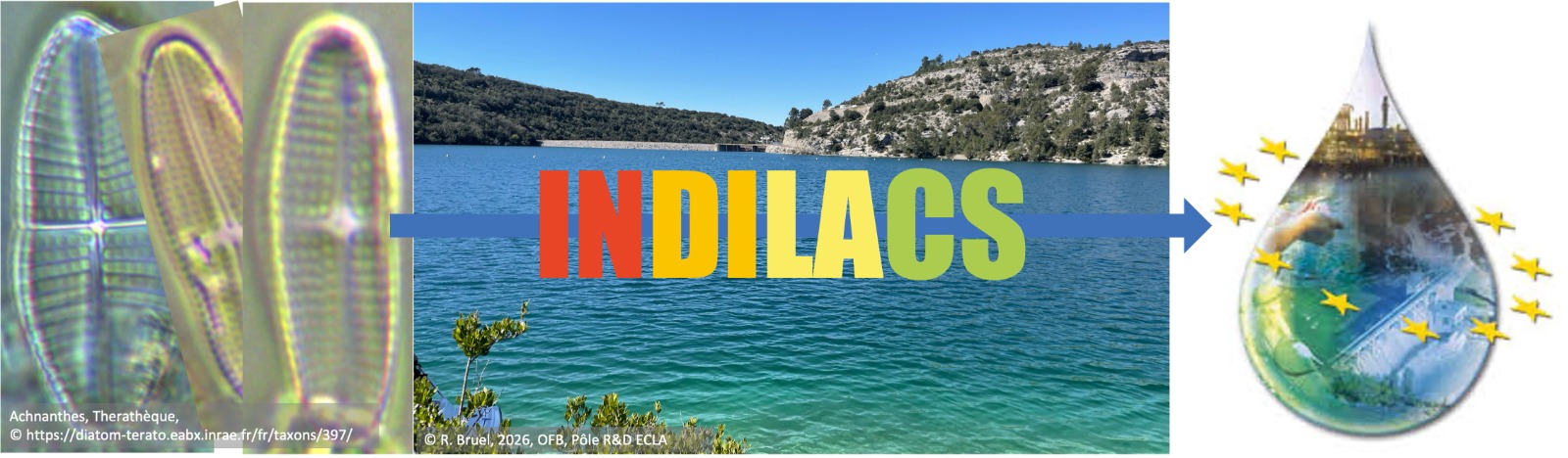 Indilacs