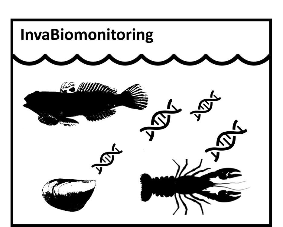 InvaBiomonitoring