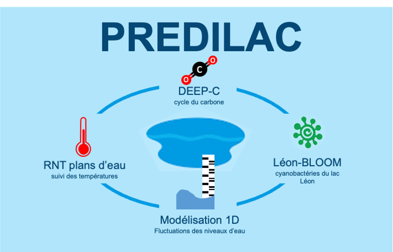 PREDILAC