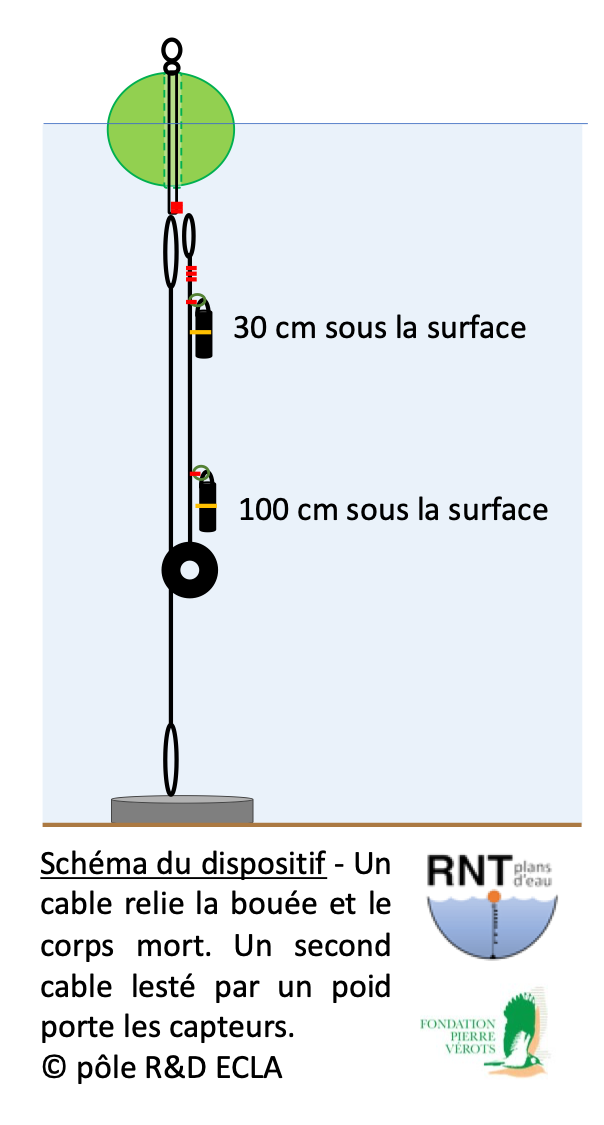 Schéma du dispositif - Un cable relie la bouée et le corps mort. Un second cable lesté par un poid porte les capteurs. © pôle R&D ECLA